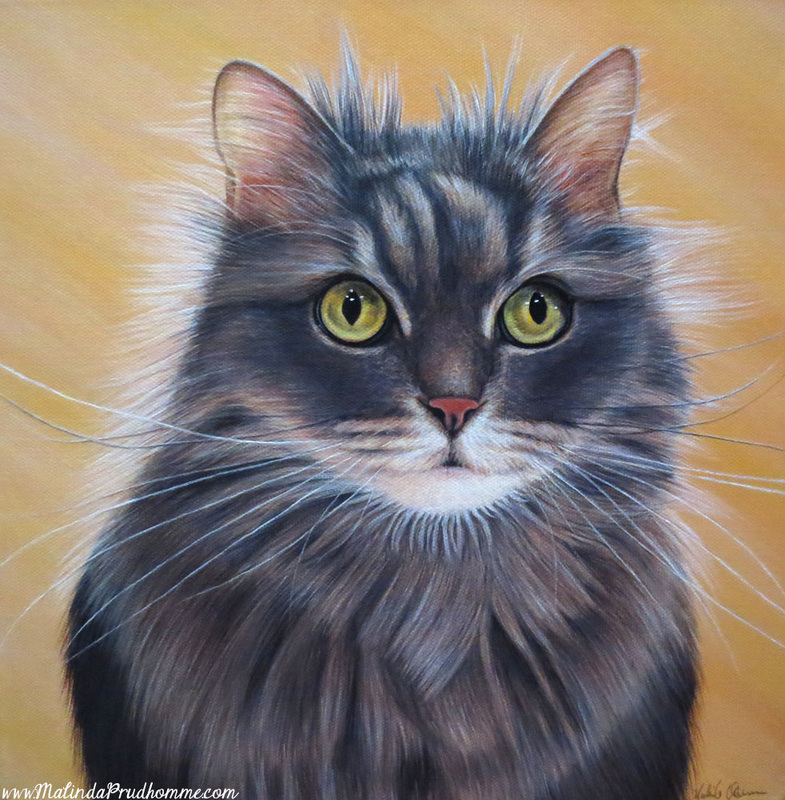 cat, cat portrait, cat painting, cat art, kitty painting, kitty portrait, portrait painting, portrait artist, toronto portrait artist, canadian portrait artist