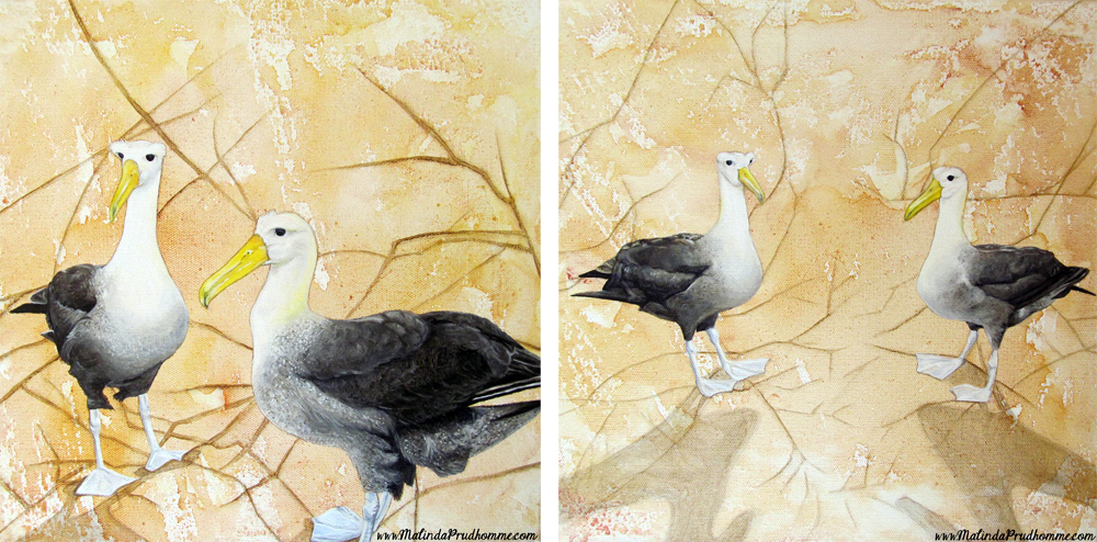 mixed media art, bird painting, birds, albatross