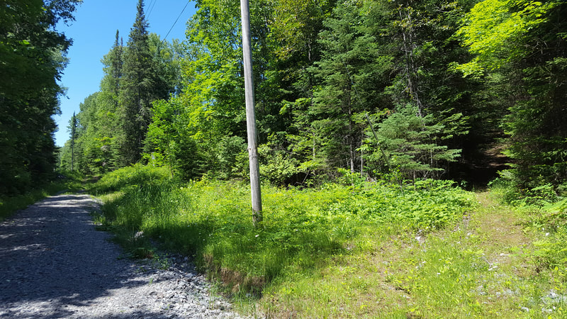 Gems, Gemstones, Minerals, Crystals, Rocks, Stones, Ontario, Canada, Rockhound, Rockhounding Tour, May Long Weekend, Crystal Hunting Tour, Mineral Tour, Desmont Mine, Diospide